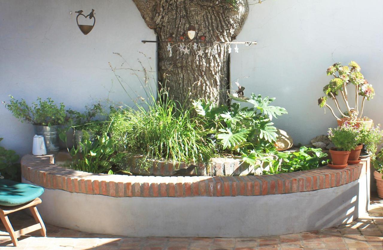 كيب تاون Himmelblau Boutique Bed And Breakfast المظهر الخارجي الصورة